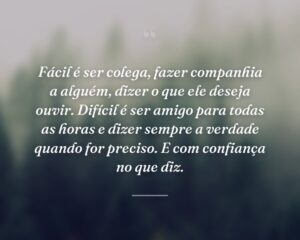 Fácil é ser colega, fazer companhia a alguém, dizer o que ele deseja ouvir. Difícil é ser amigo para todas as horas e dizer sempre a verdade quando for preciso. E com confiança no que diz.