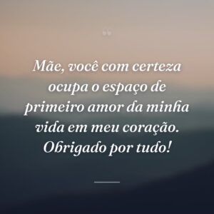 Mãe, você com certeza ocupa o espaço de primeiro amor da minha vida em meu coração. Obrigado por tudo!