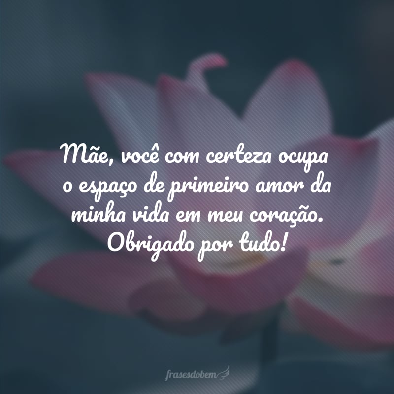 Mãe, você com certeza ocupa o espaço de primeiro amor da minha vida em meu coração. Obrigado por tudo!