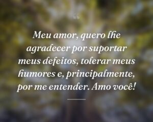Meu amor, quero lhe agradecer por suportar meus defeitos, tolerar meus humores e, principalmente, por me entender. Amo você!