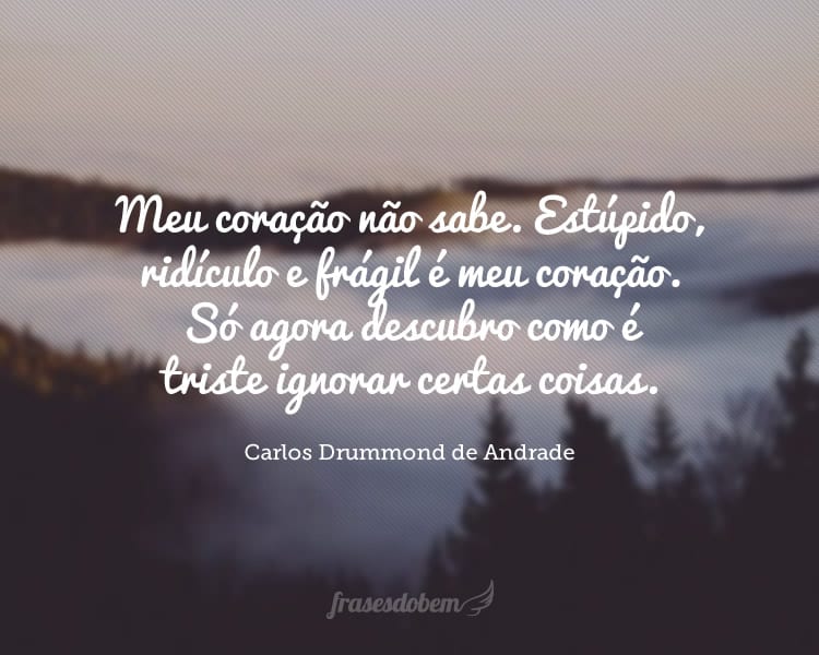 Meu coração não sabe. Estúpido, ridículo e frágil é meu coração. Só agora descubro como é triste ignorar certas coisas.