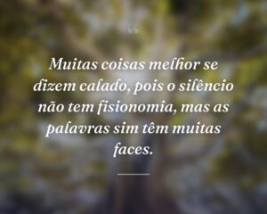 Muitas coisas melhor se dizem calado, pois o silêncio não tem fisionomia, mas as palavras sim têm muitas faces.
