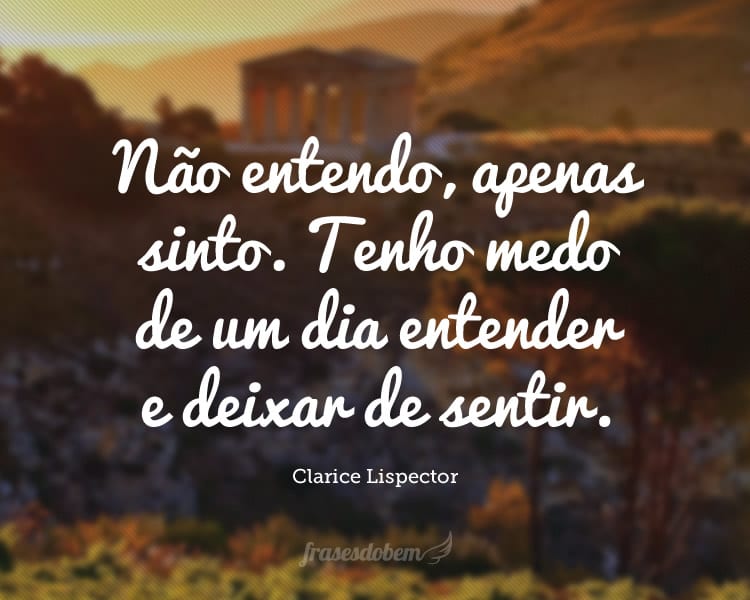 Não entendo, apenas sinto. Tenho medo de um dia entender e deixar de sentir.