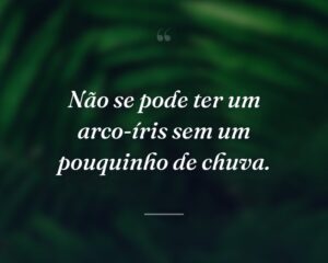 Não se pode ter um arco-íris sem um pouquinho de chuva.