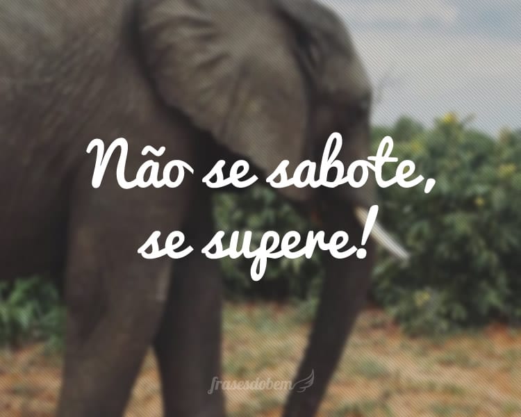 Não se sabote, se supere!