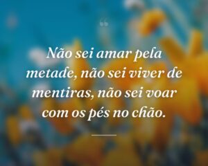 Não sei amar pela metade, não sei viver de mentiras, não sei voar com os pés no chão.