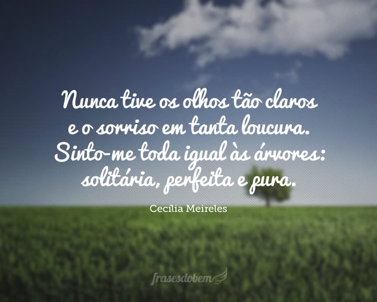 Nunca tive os olhos tão claros e o sorriso em tanta loucura. Sinto-me toda igual às árvores: solitária, perfeita e pura.