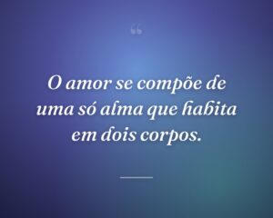 O amor se compõe de uma só alma que habita em dois corpos.
