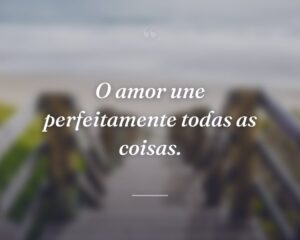 O amor une perfeitamente todas as coisas.
