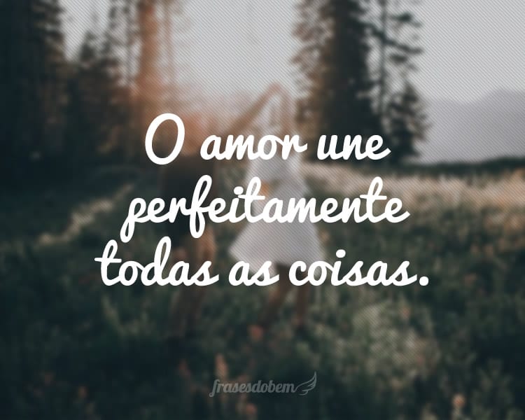 O amor une perfeitamente todas as coisas.