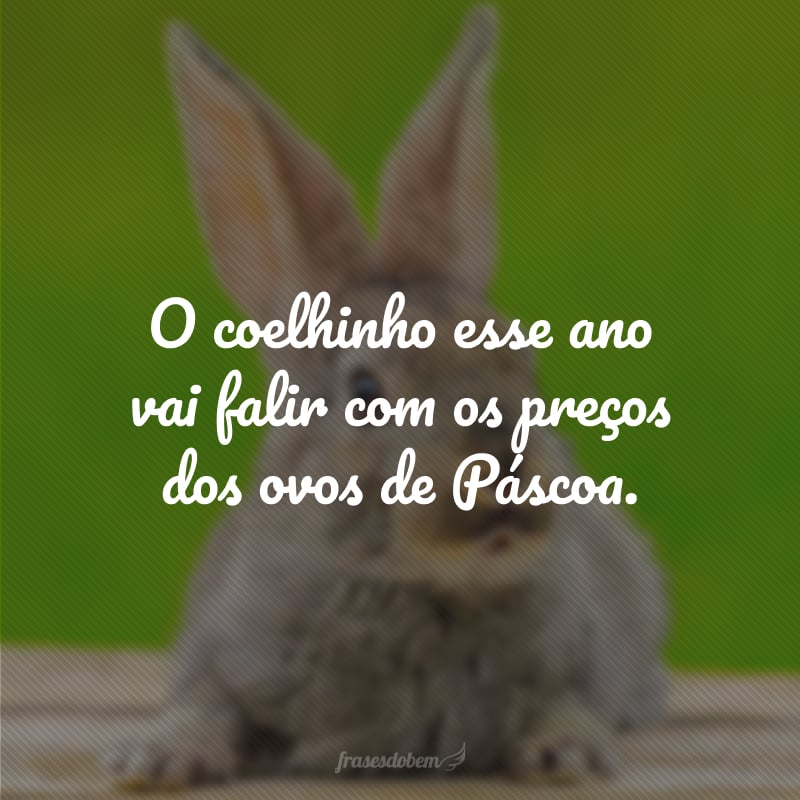 O coelhinho esse ano vai falir com os preços dos ovos de Páscoa. 