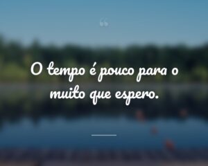 O tempo é pouco para o muito que espero.