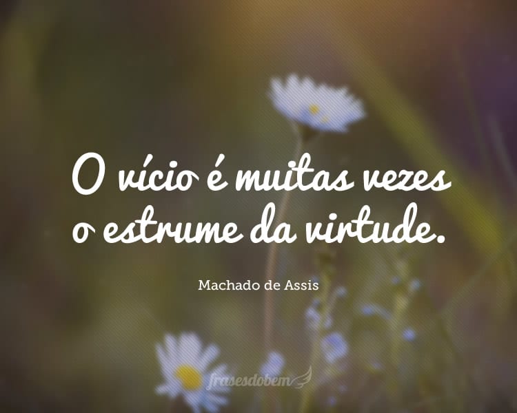 O vício é muitas vezes o estrume da virtude.