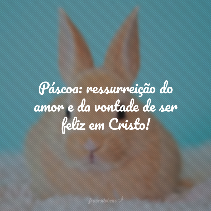 Páscoa: ressurreição do amor e da vontade de ser feliz em Cristo!