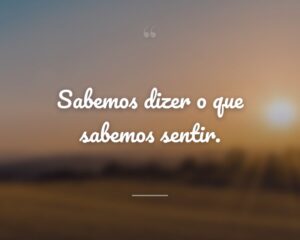 Sabemos dizer o que sabemos sentir.
