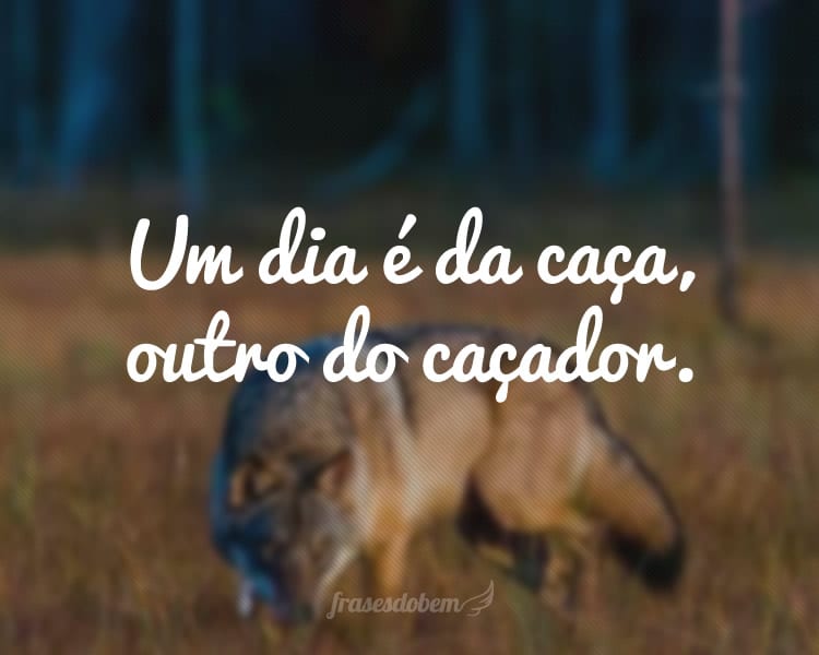 Um dia é da caça, outro do caçador.