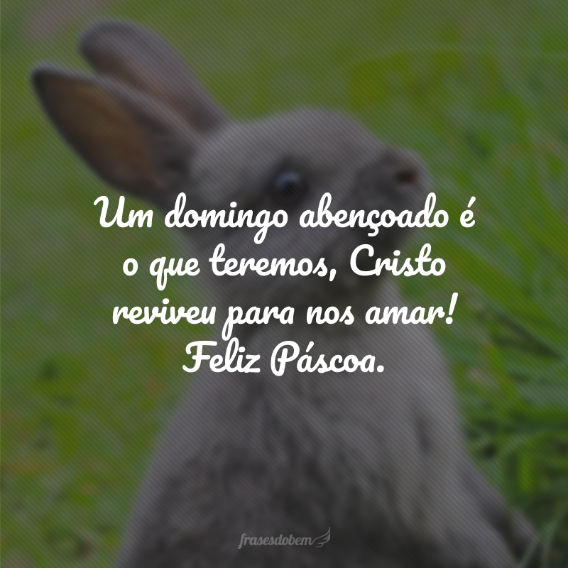 Um domingo abençoado é o que teremos, Cristo reviveu para nos amar! Feliz Páscoa.
