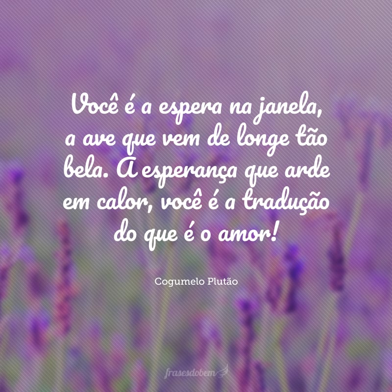 Você é a espera na janela, a ave que vem de longe tão bela. A esperança que arde em calor, você é a tradução do que é o amor!