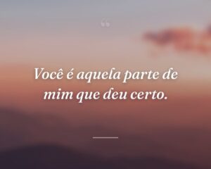 Você é aquela parte de mim que deu certo.