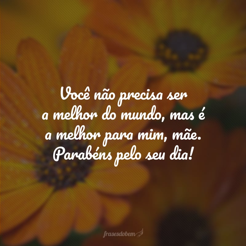 Você não precisa ser a melhor do mundo, mas é a melhor para mim, mãe. Parabéns pelo seu dia!