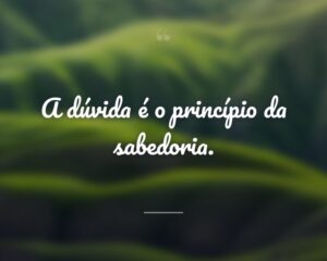 A dúvida é o princípio da sabedoria.