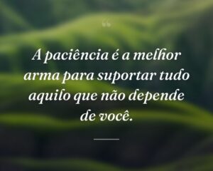 A paciência é a melhor arma para suportar tudo aquilo que não depende de você.