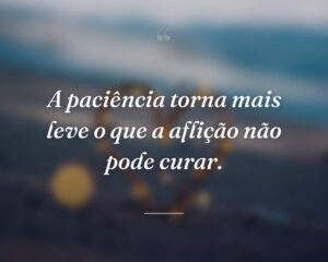 A paciência torna mais leve o que a aflição não pode curar.