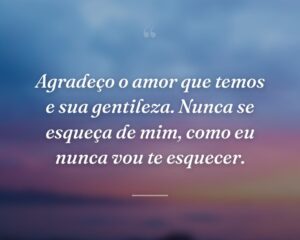 Agradeço o amor que temos e sua gentileza. Nunca se esqueça de mim, como eu nunca vou te esquecer.