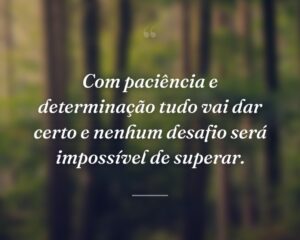 Com paciência e determinação tudo vai dar certo e nenhum desafio será impossível de superar.
