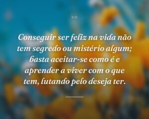 Conseguir ser feliz na vida não tem segredo ou mistério algum; basta aceitar-se como é e aprender a viver com o que tem, lutando pelo deseja ter.