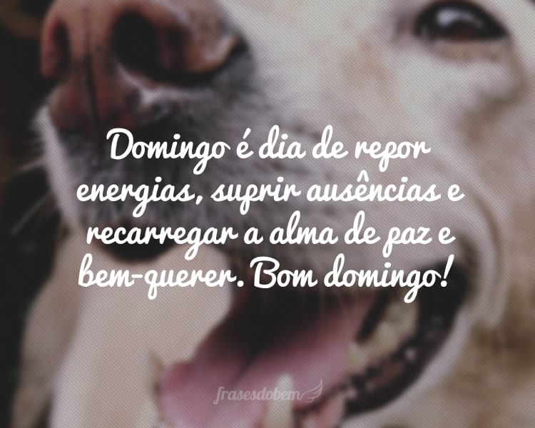 Domingo é dia de repor energias, suprir ausências e recarregar a alma de paz e bem-querer. Bom domingo!