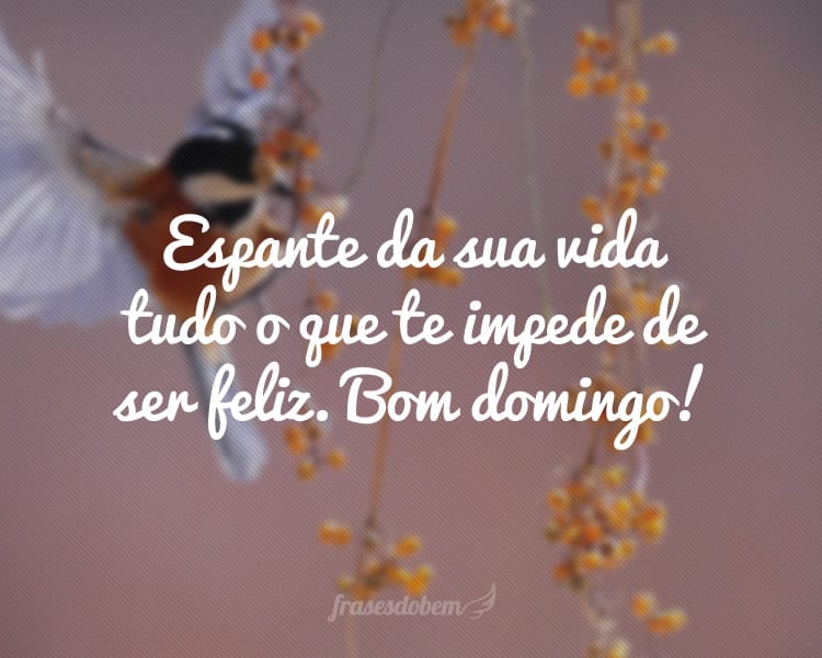 Espante da sua vida tudo o que te impede de ser feliz. Bom domingo!