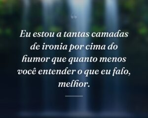 Eu estou a tantas camadas de ironia por cima do humor que quanto menos você entender o que eu falo, melhor.