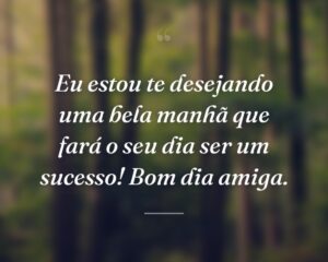 Eu estou te desejando uma bela manhã que fará o seu dia ser um sucesso! Bom dia amiga.