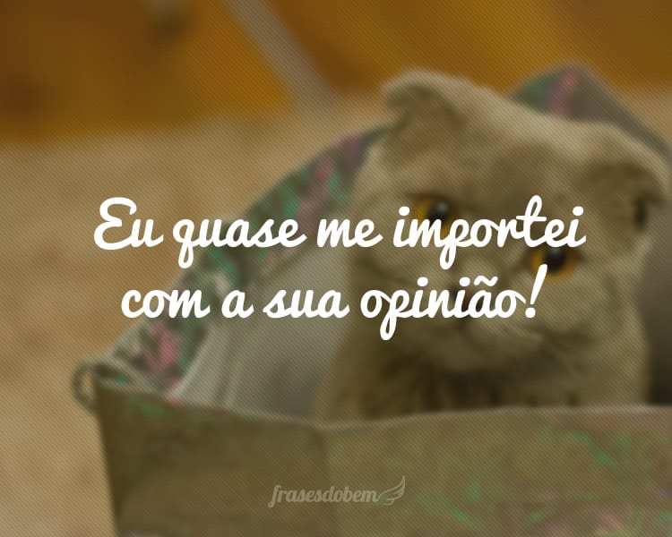 Eu quase me importei com a sua opinião!