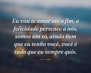Eu vou te amar até o fim, a felicidade pertence a nós, somos um só, ainda bem que eu tenho você, você é tudo que eu sempre quis.