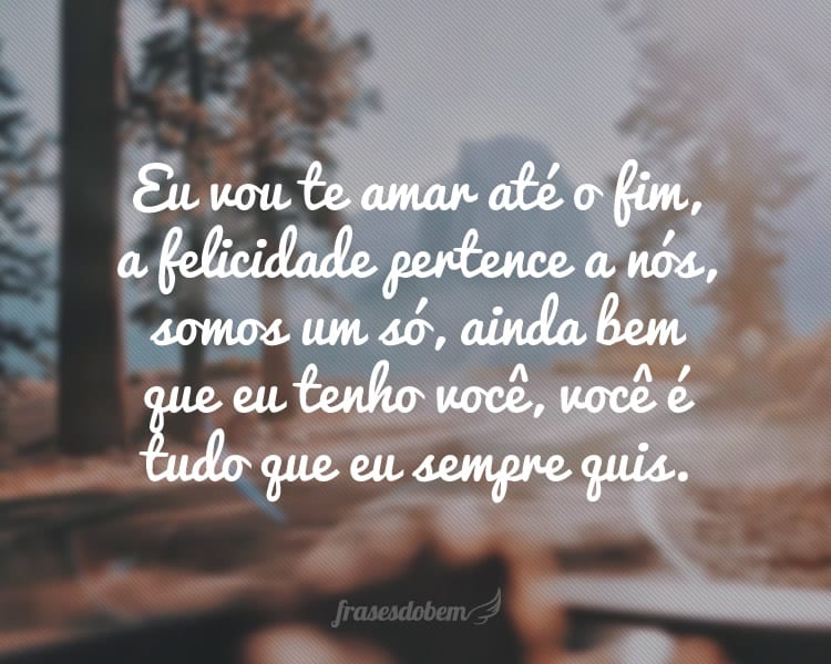 Eu vou te amar até o fim, a felicidade pertence a nós, somos um só, ainda bem que eu tenho você, você é tudo que eu sempre quis.