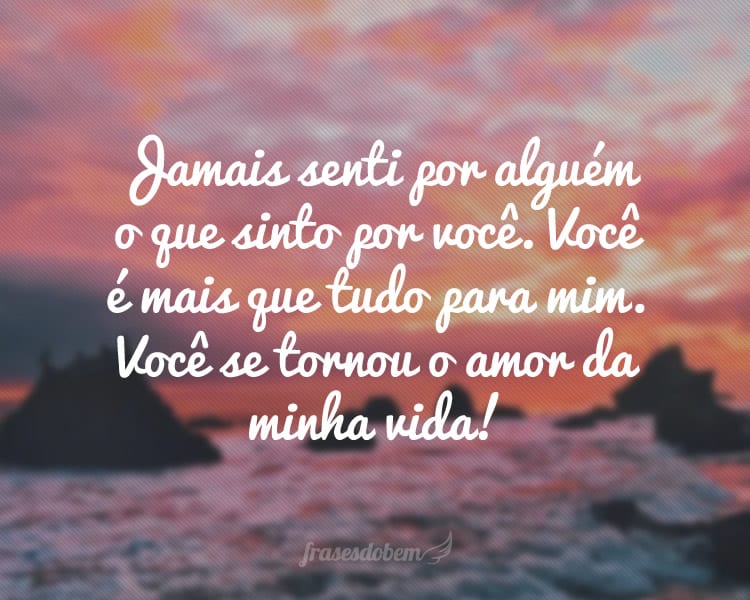 Jamais senti por alguém o que sinto por você. Você é mais que tudo para mim. Você se tornou o amor da minha vida!