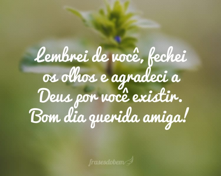 Lembrei de você, fechei os olhos e agradeci a Deus por você existir. Bom dia querida amiga!