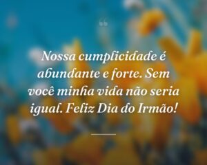 Nossa cumplicidade é abundante e forte. Sem você minha vida não seria igual. Feliz Dia do Irmão!
