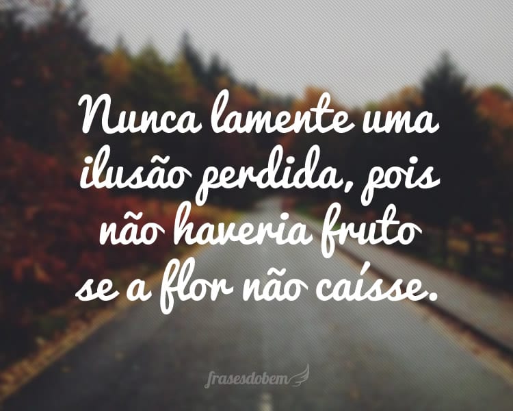 Nunca lamente uma ilusão perdida, pois não haveria fruto se a flor não caísse.