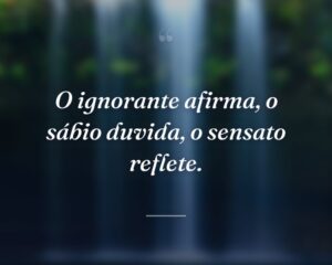 O ignorante afirma, o sábio duvida, o sensato reflete.