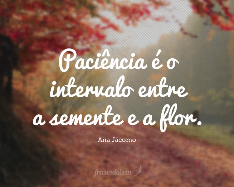 Paciência é o intervalo entre a semente e a flor.