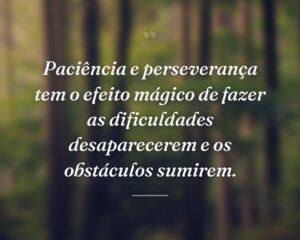 Paciência e perseverança tem o efeito mágico de fazer as dificuldades desaparecerem e os obstáculos sumirem.