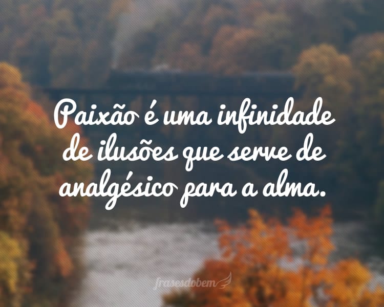 Paixão é uma infinidade de ilusões que serve de analgésico para a alma.