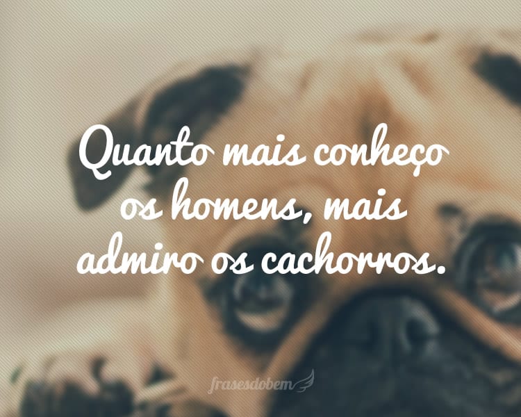 Quanto mais conheço os homens, mais admiro os cachorros.