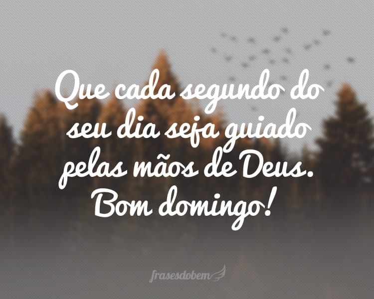 Que cada segundo do seu dia seja guiado pelas mãos de Deus. Bom domingo!