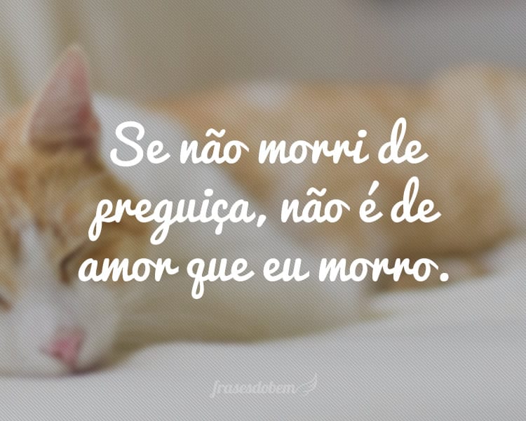 Se não morri de preguiça, não é de amor que eu morro.