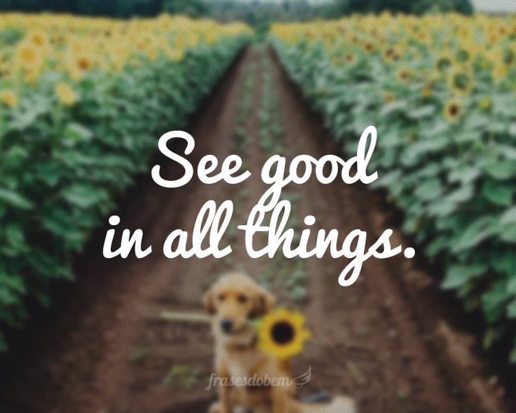 see good in all