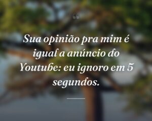 Sua opinião pra mim é igual a anúncio do Youtube: eu ignoro em 5 segundos.